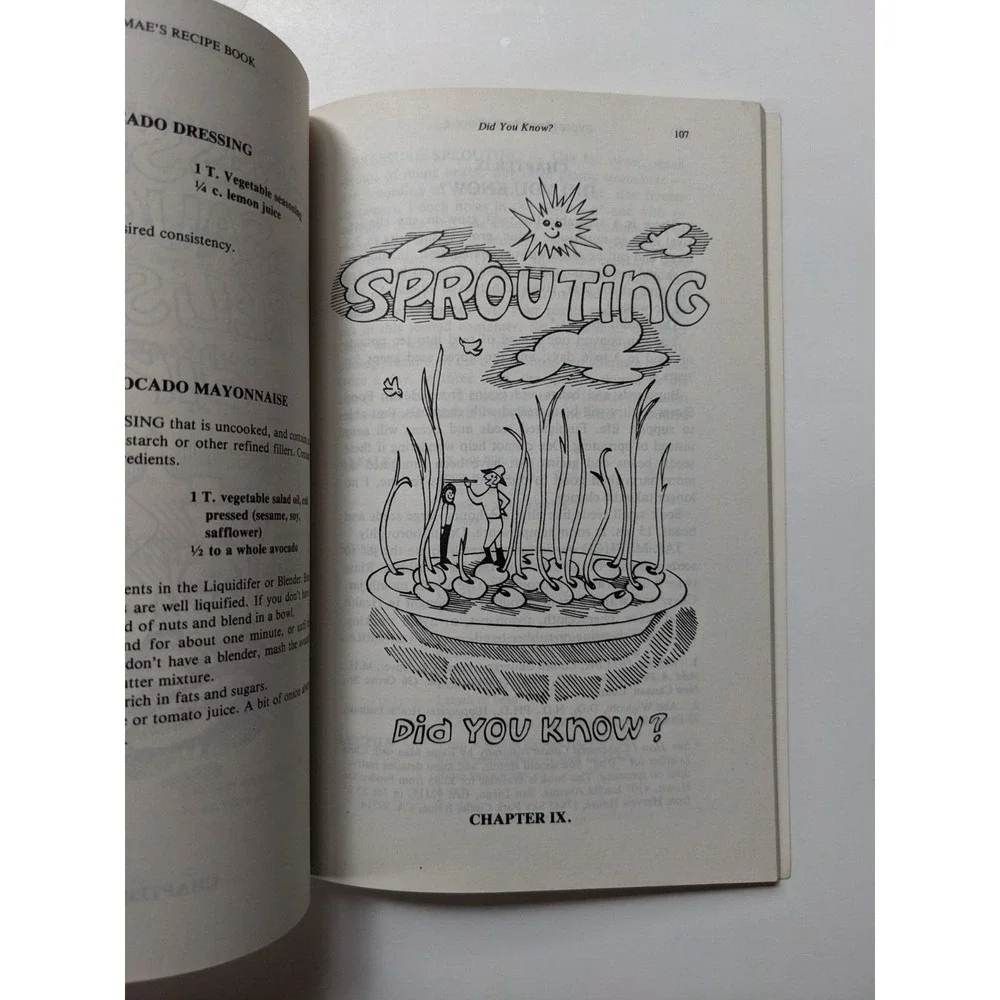 Eydie Mae's Natural Recipes for the Live Foods Gourmet (1978) Vintage Cookbook